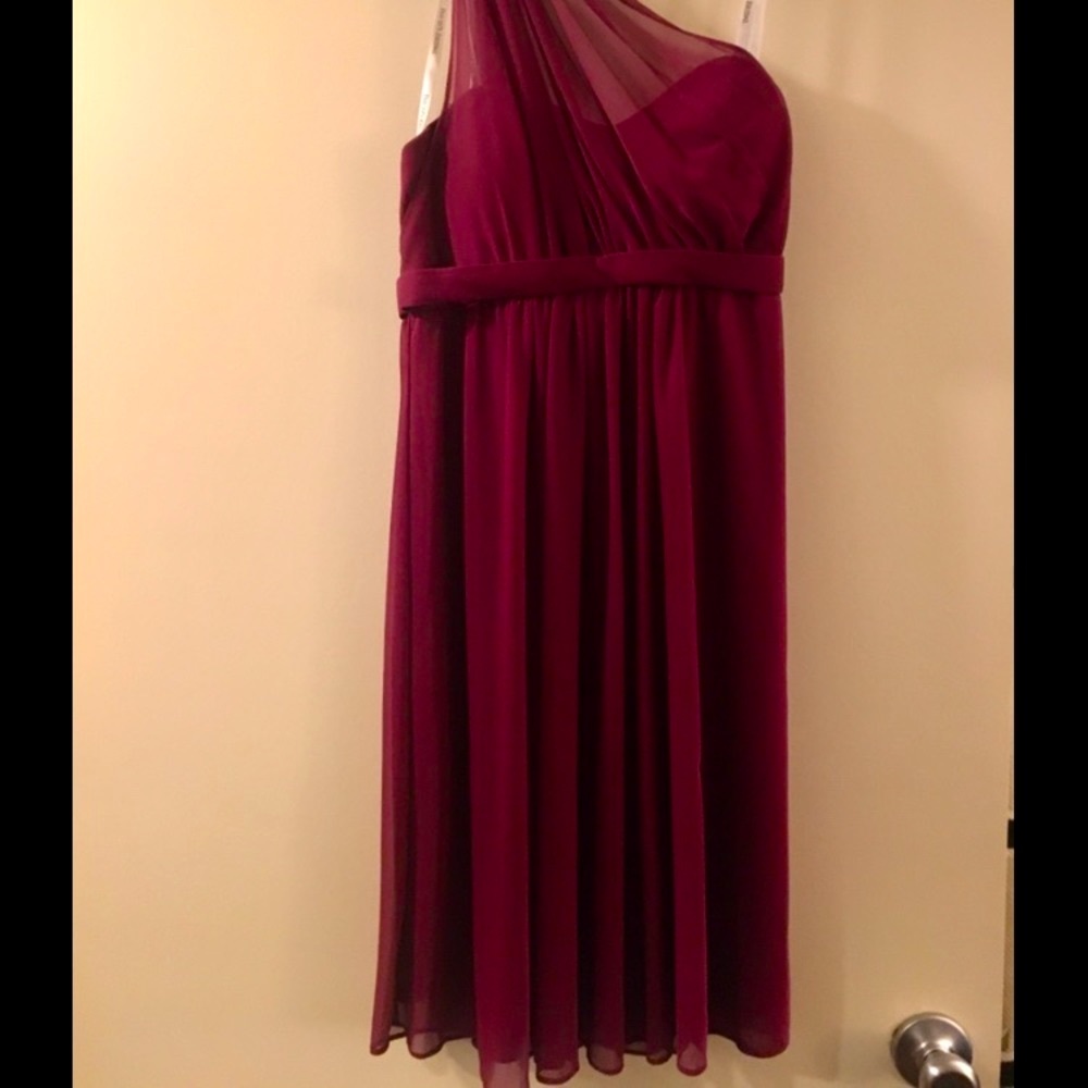 David's Bridal- Sangria Dress